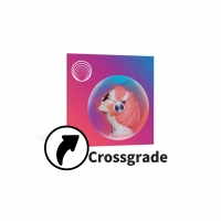 iZotope Neoverb Crossgrade from any paid iZotope product 아이조톱