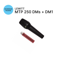 LEWITT MTP 250 DMs + sE DM1 다이너마이트 패키지