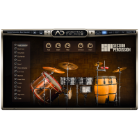 XLN Audio Session Percussion 드럼 가상악기 엑스엘엔오디오 세션 퍼커션
